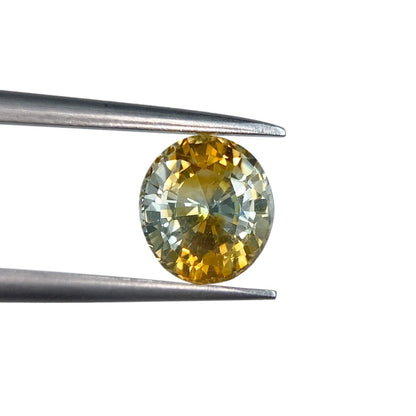1.42ct | Brilliant Cut Oval Shape Yellow Montana Sapphire-Modern Rustic Diamond